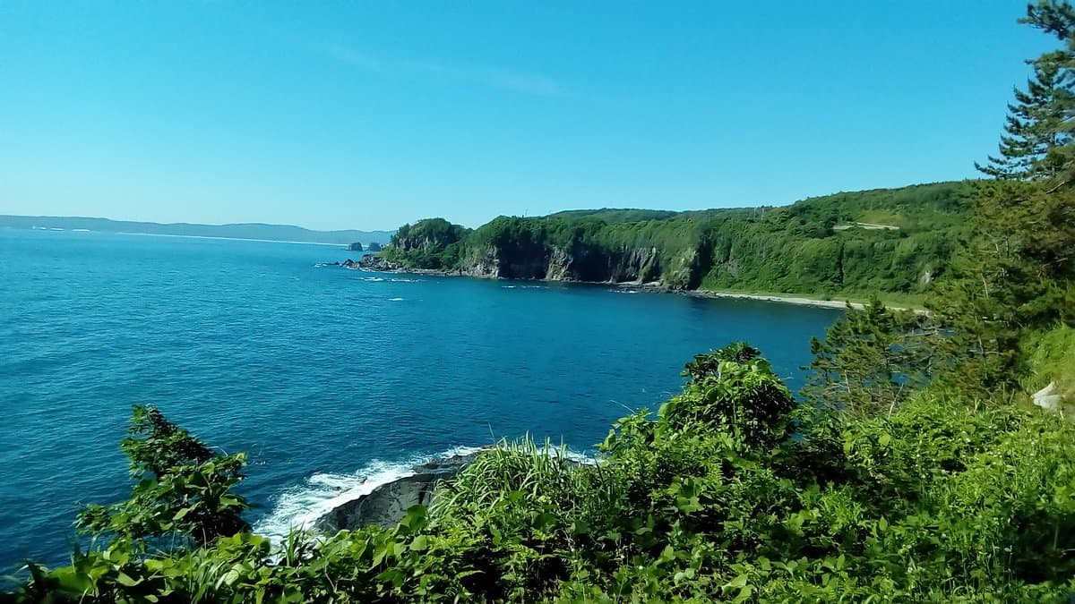 Gammon