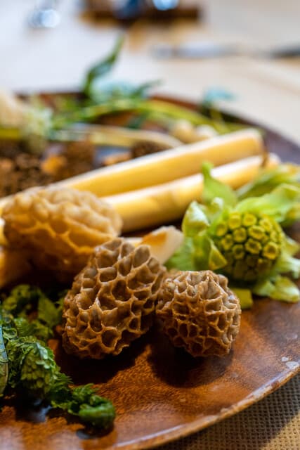 ASHIHANA: French Cooking Built Around Foraged Wild Mushrooms