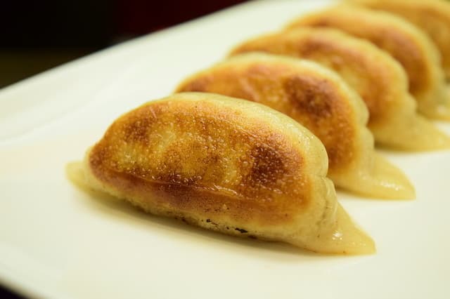 Saiko Gyoza Bo: Handmade Gyoza and Shanghai Plates