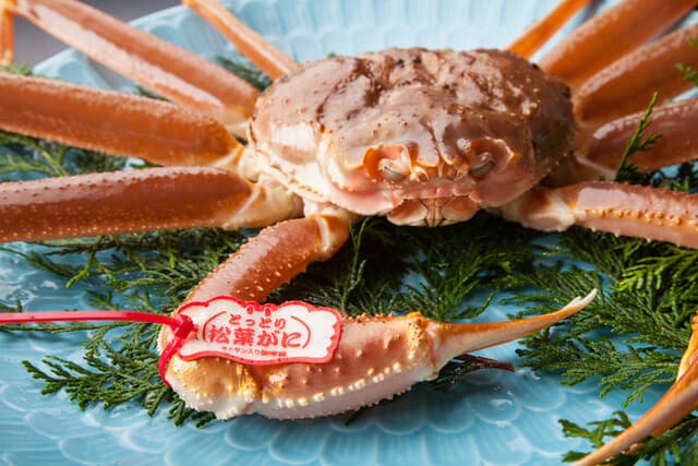 Ginza Kani Matsu: A Seasonal Matsuba Crab Kaiseki