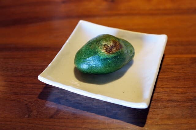 Okashi Tsukasa Nakamura Ken: Historic Kyoto Wagashi