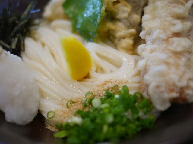 Honkaku Teuchi-Udon Taiga: Acclaimed Kyoto-style Udon
