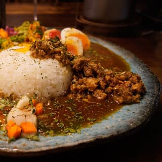 BOTANI:CURRY: Theatrical Spice Plates in Osaka