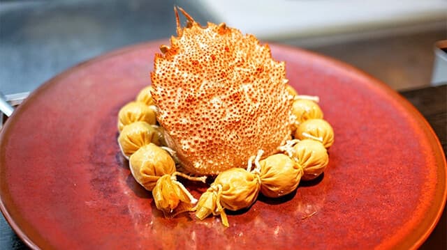 Chinese Sai Hinotori: Creative Omakase Chinese