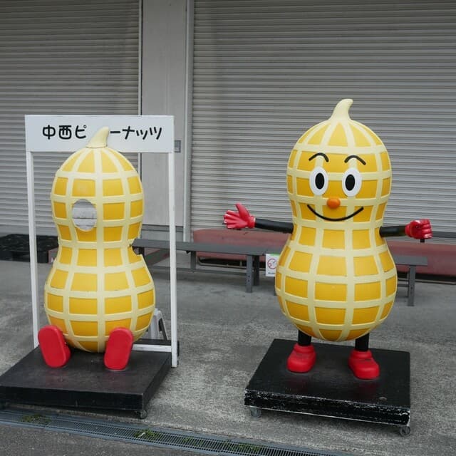 Nakanishi Peanuts: Factory-Direct Peanut Snacks