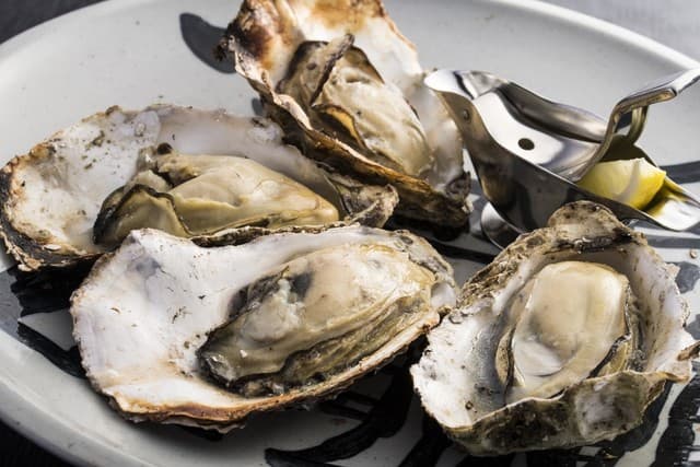 Yakigaki no Hayashi: Hiroshima Oysters on Miyajima