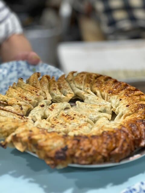 Seichan: A Singular Focus on Gyoza