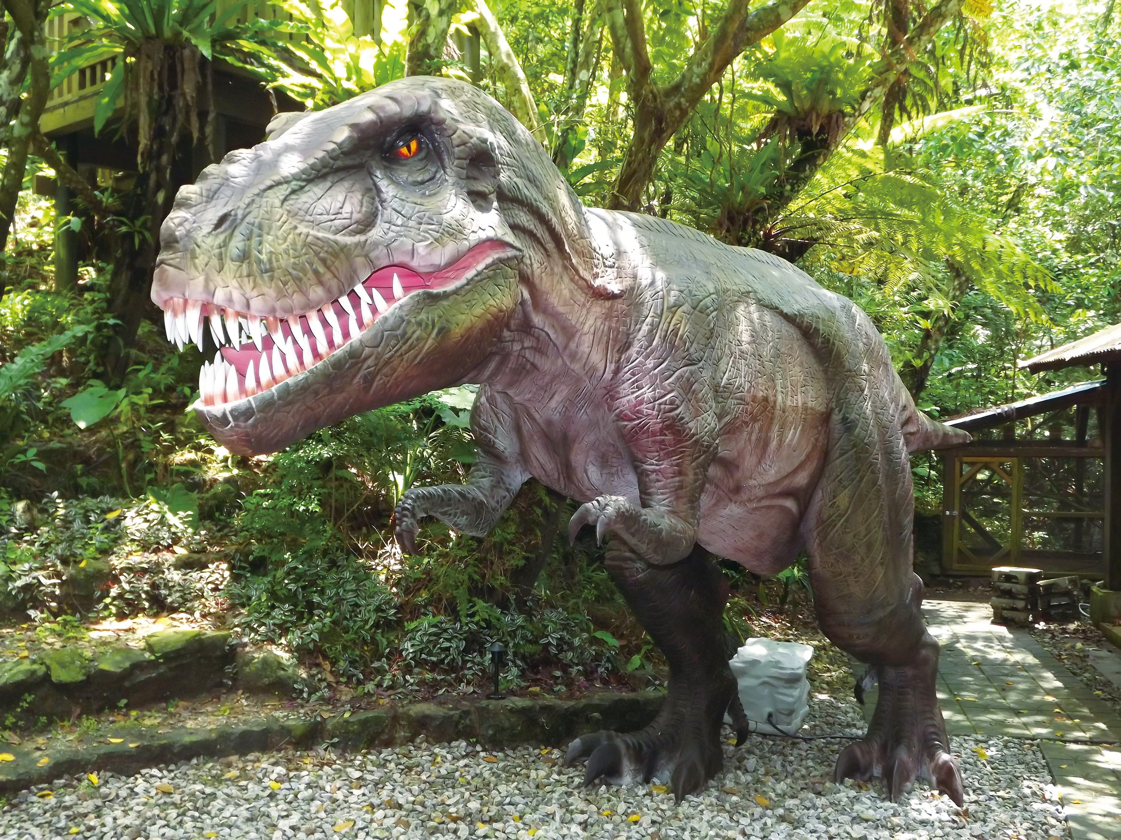 DINO Dinosaur PARK cover image