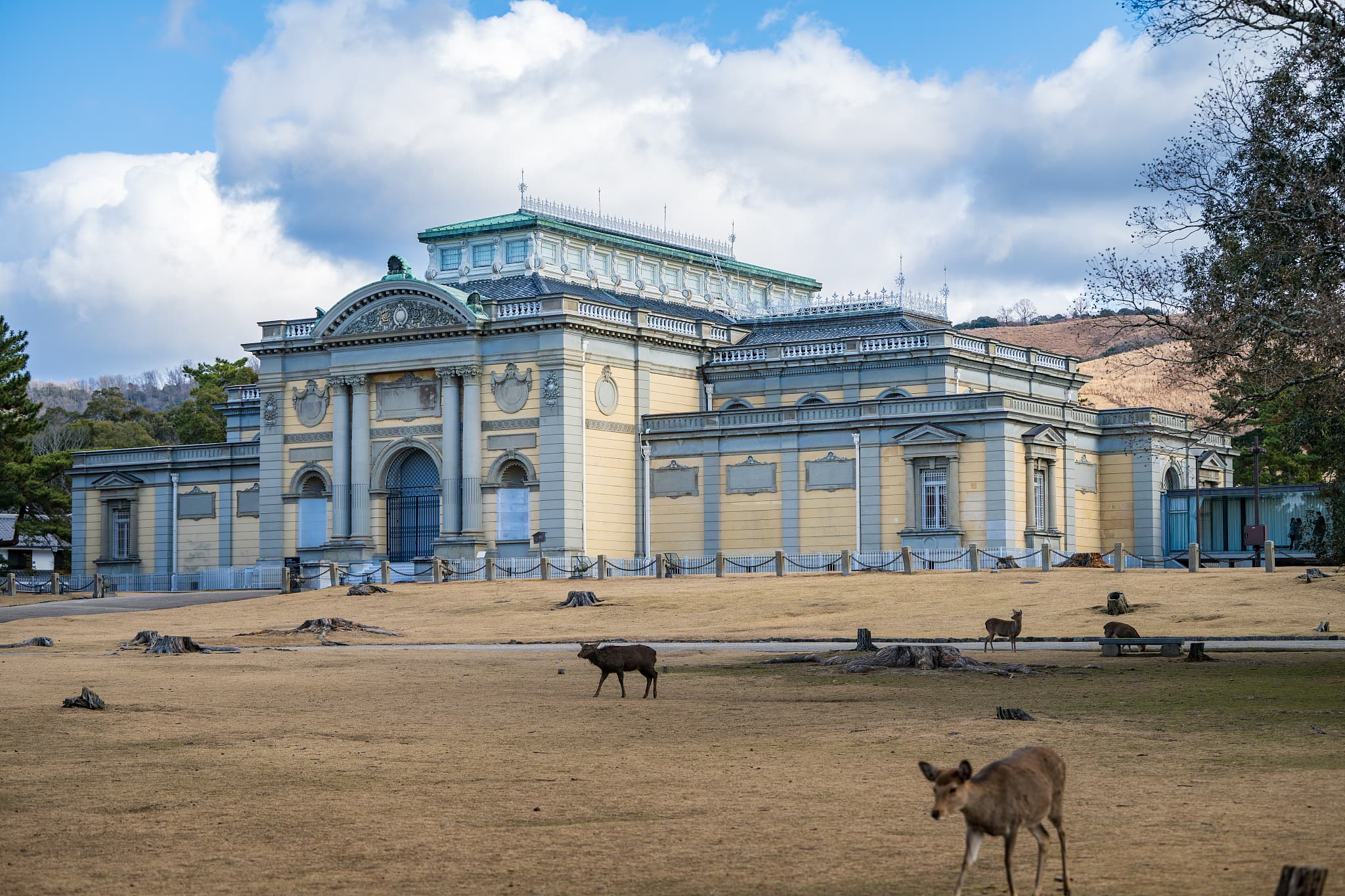 Nara Park