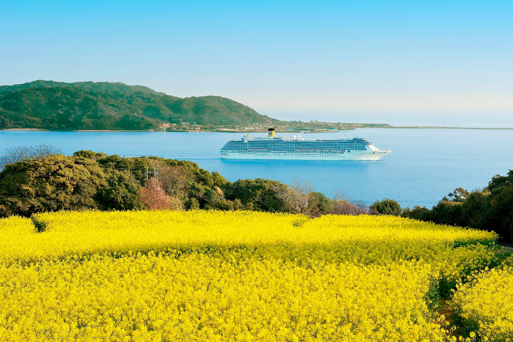 Nokonoshima Island