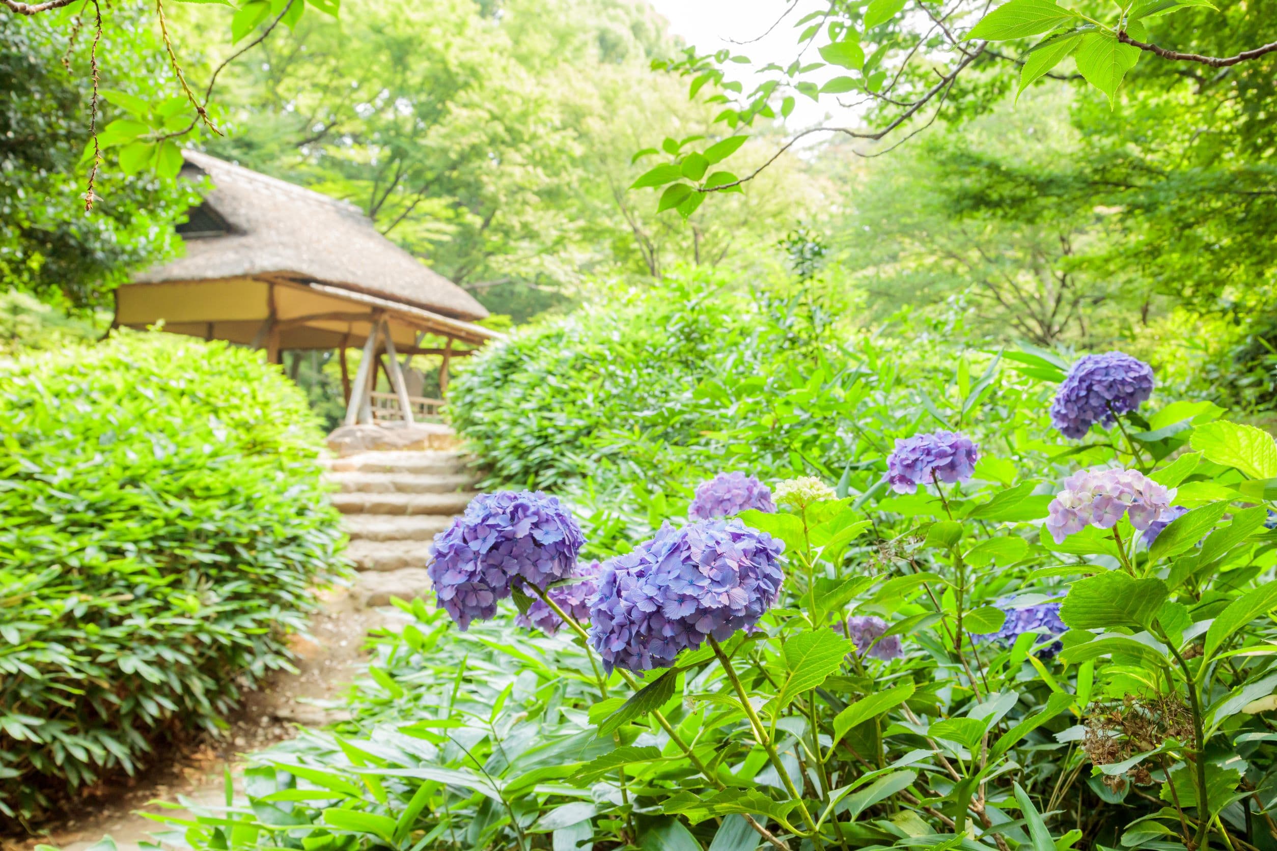 Rikugien Gardens