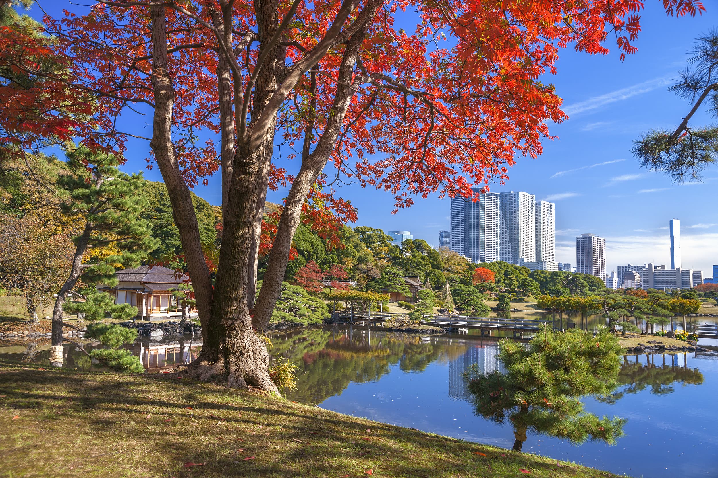 Hamarikyu Gardens