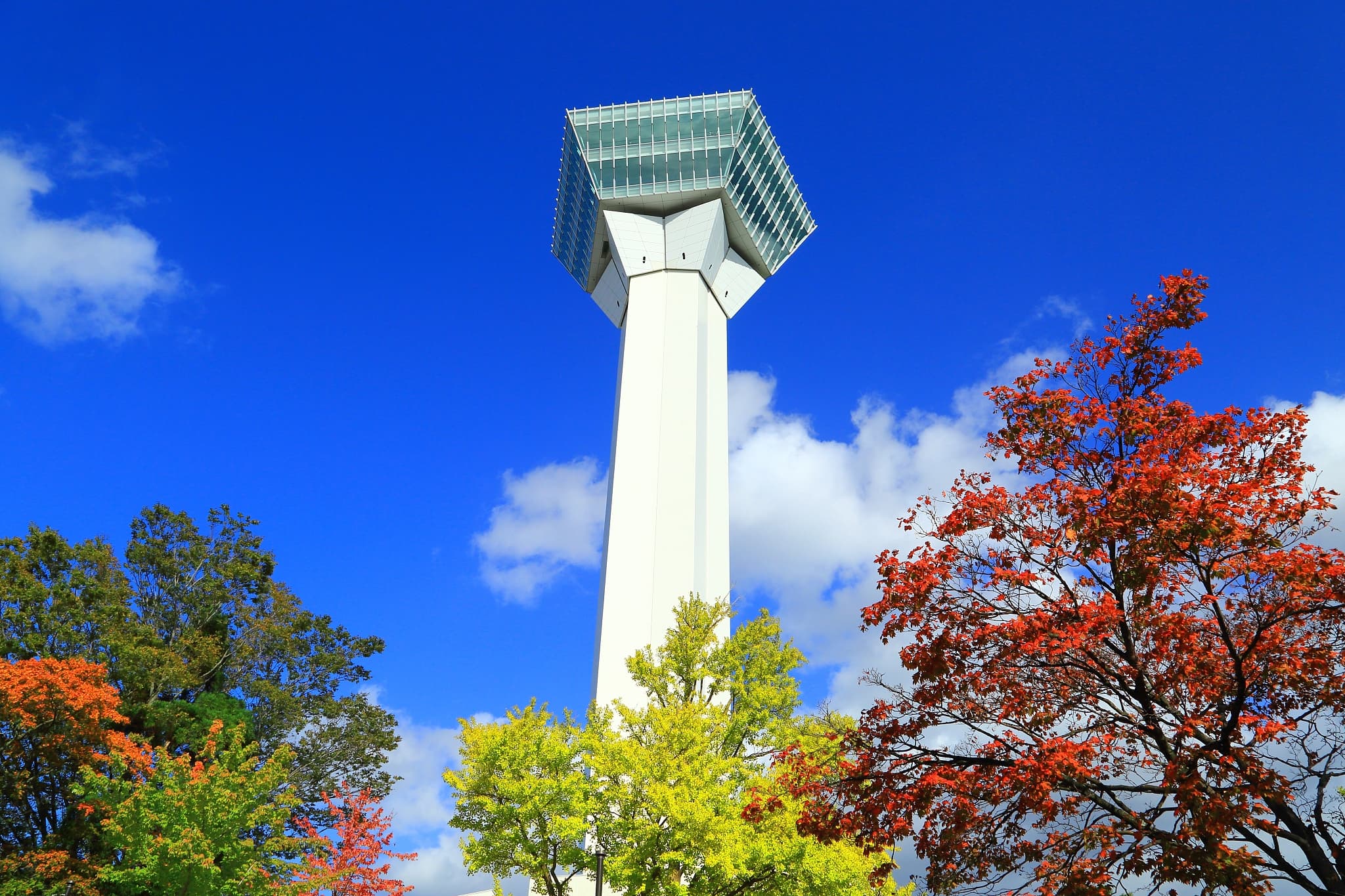 Goryōkaku Tower cover image