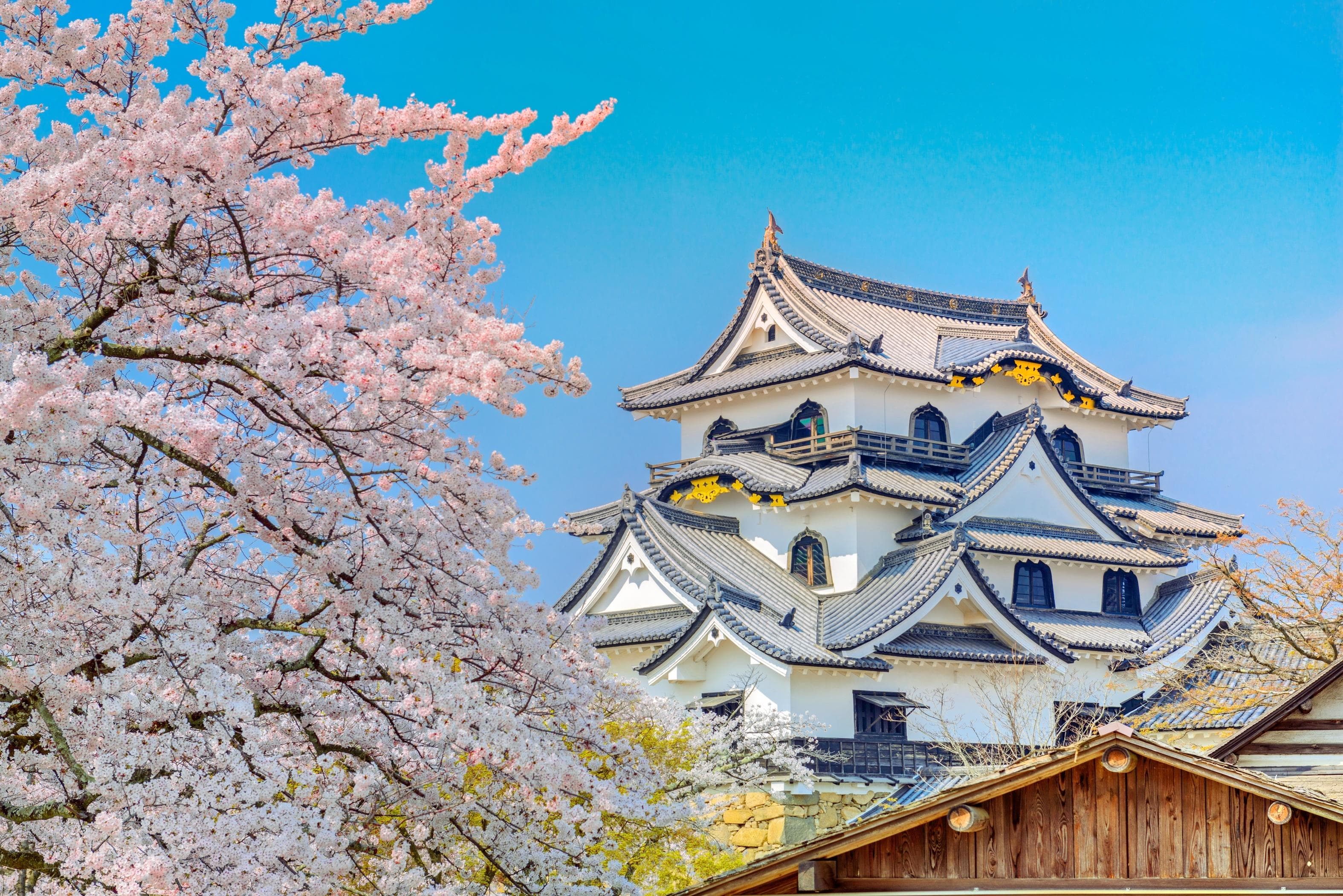Hikone Castle