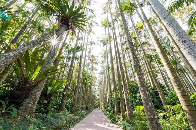Southeast Botanical Gardens