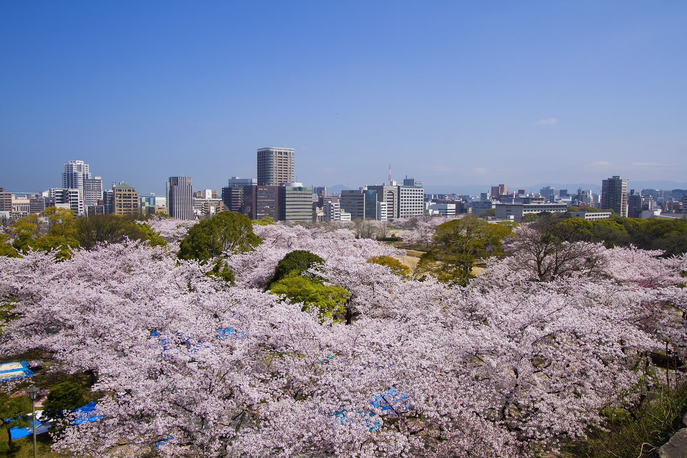 Fukuoka Castle Ruins