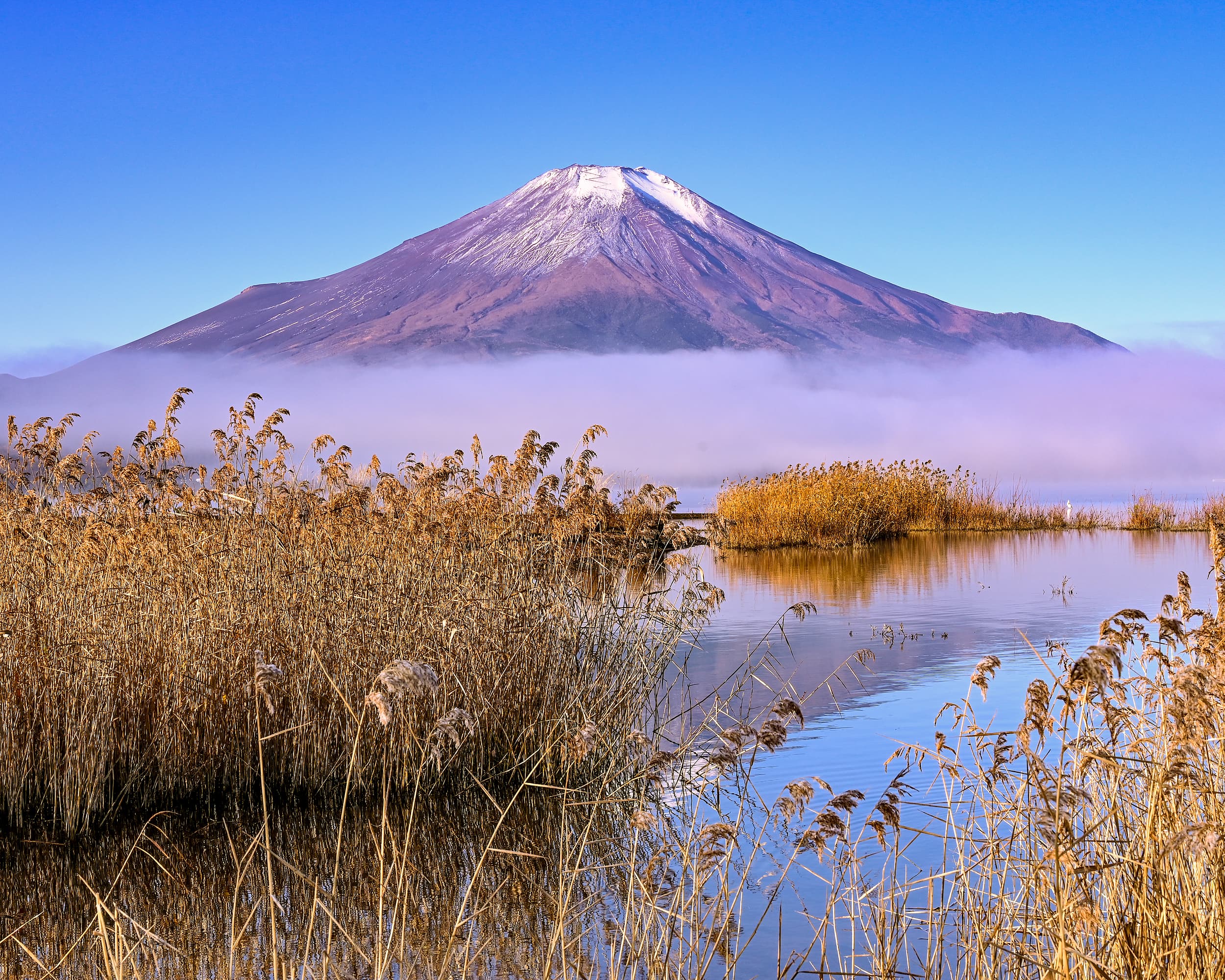 Lake Yamanaka