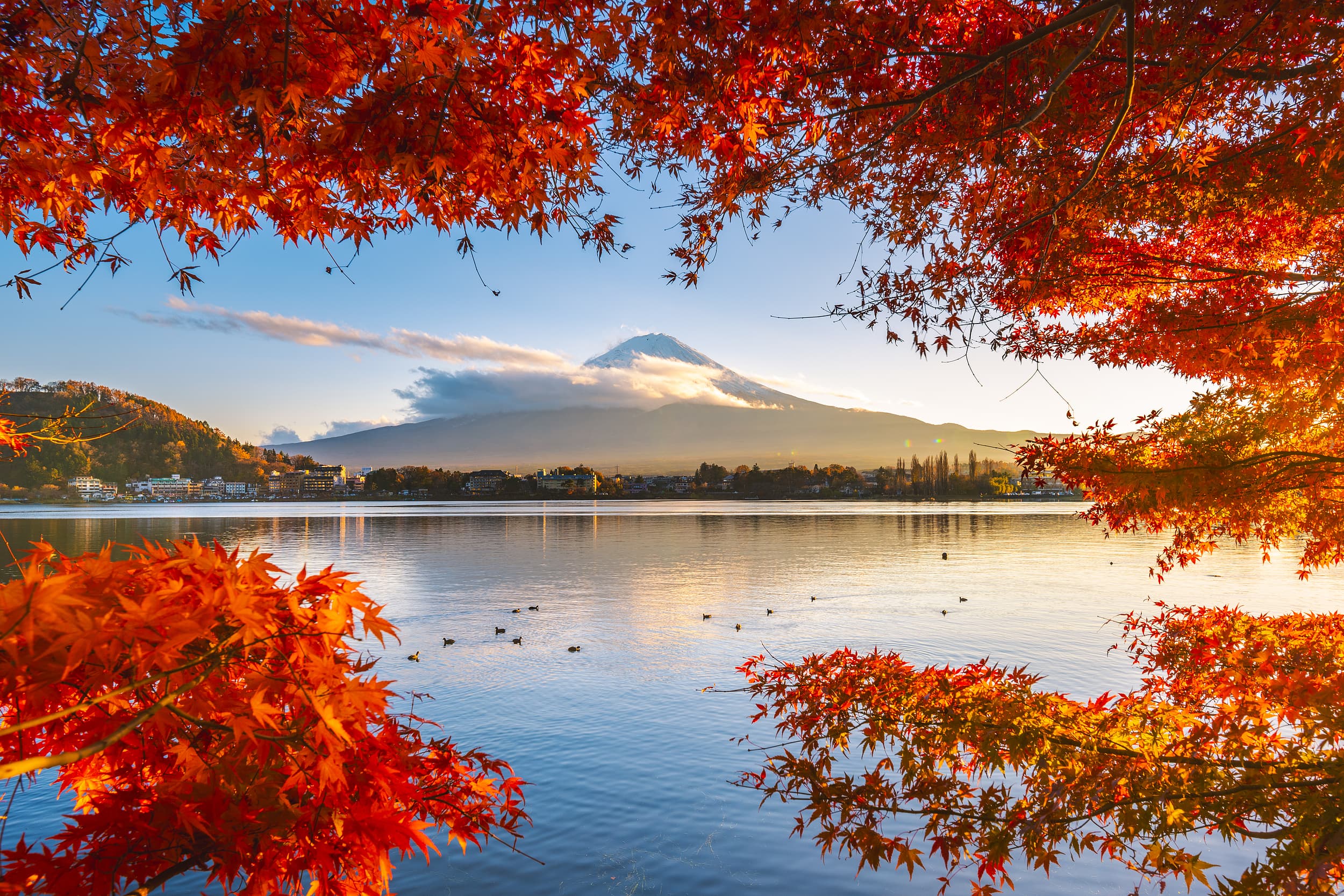 Lake Kawaguchi cover image