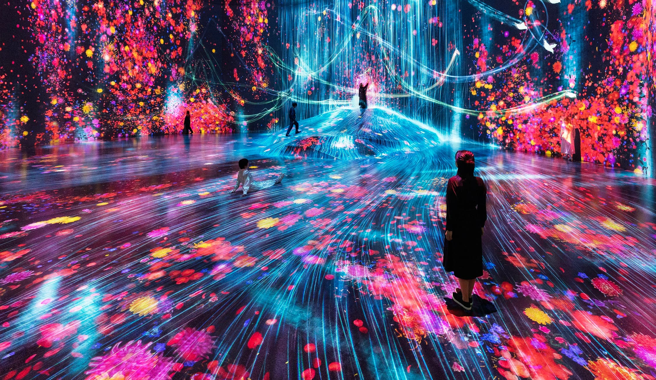 teamLab Borderless: MORI Building DIGITAL ART MUSEUM cover image