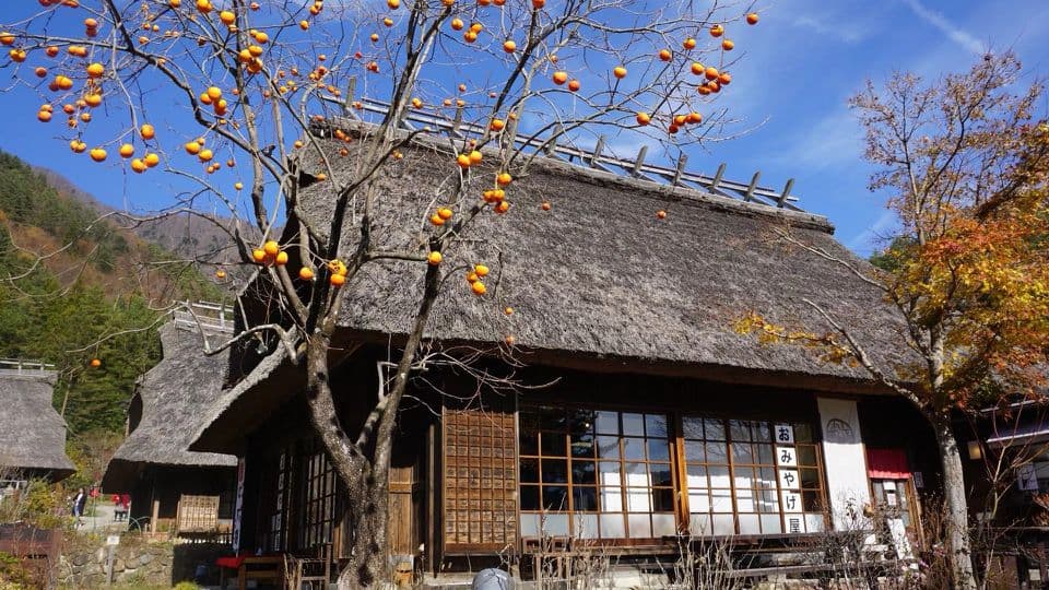 Saiko Iyashi-no-Sato Nemba (Traditional Japanese Village)