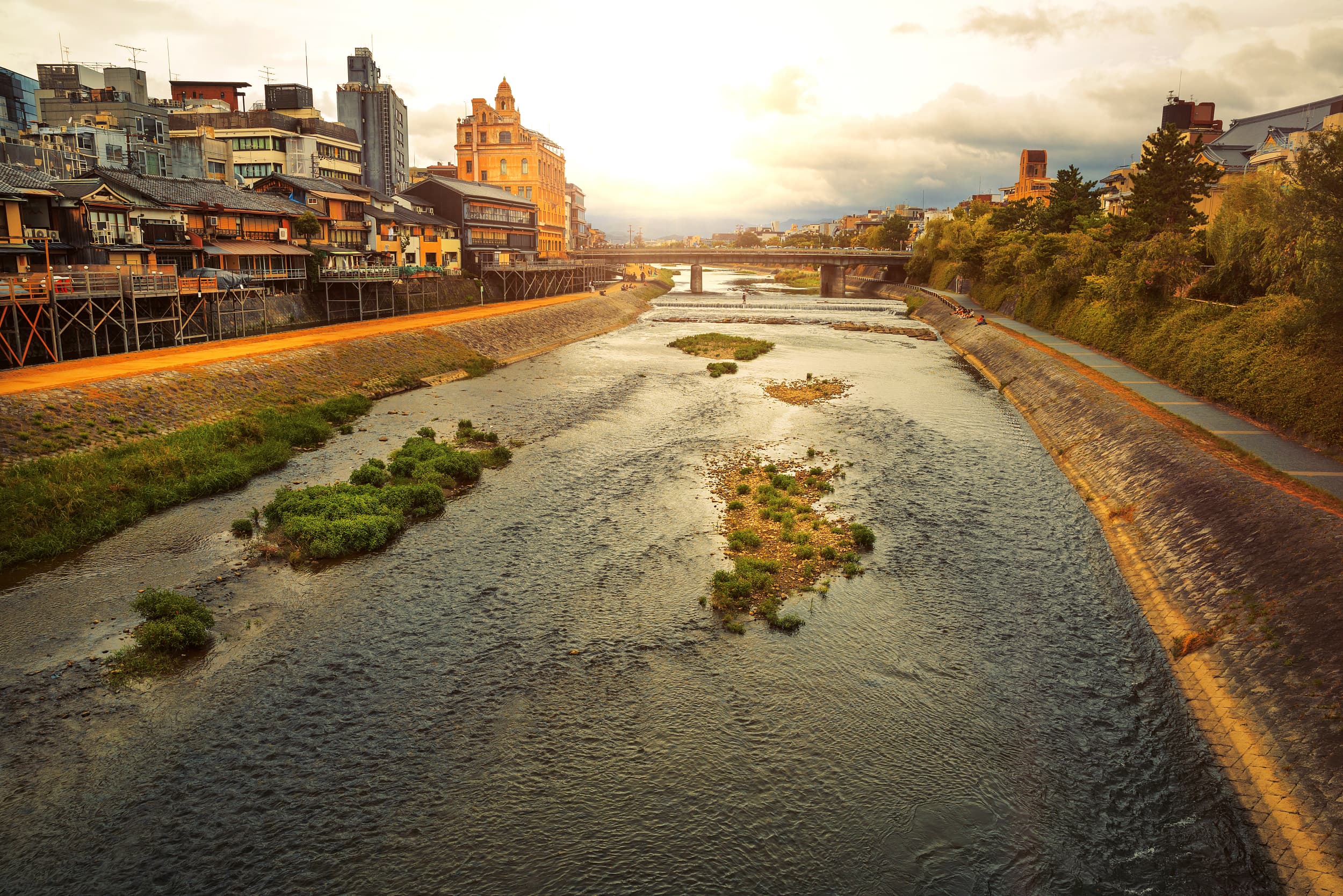 Kamo River cover image