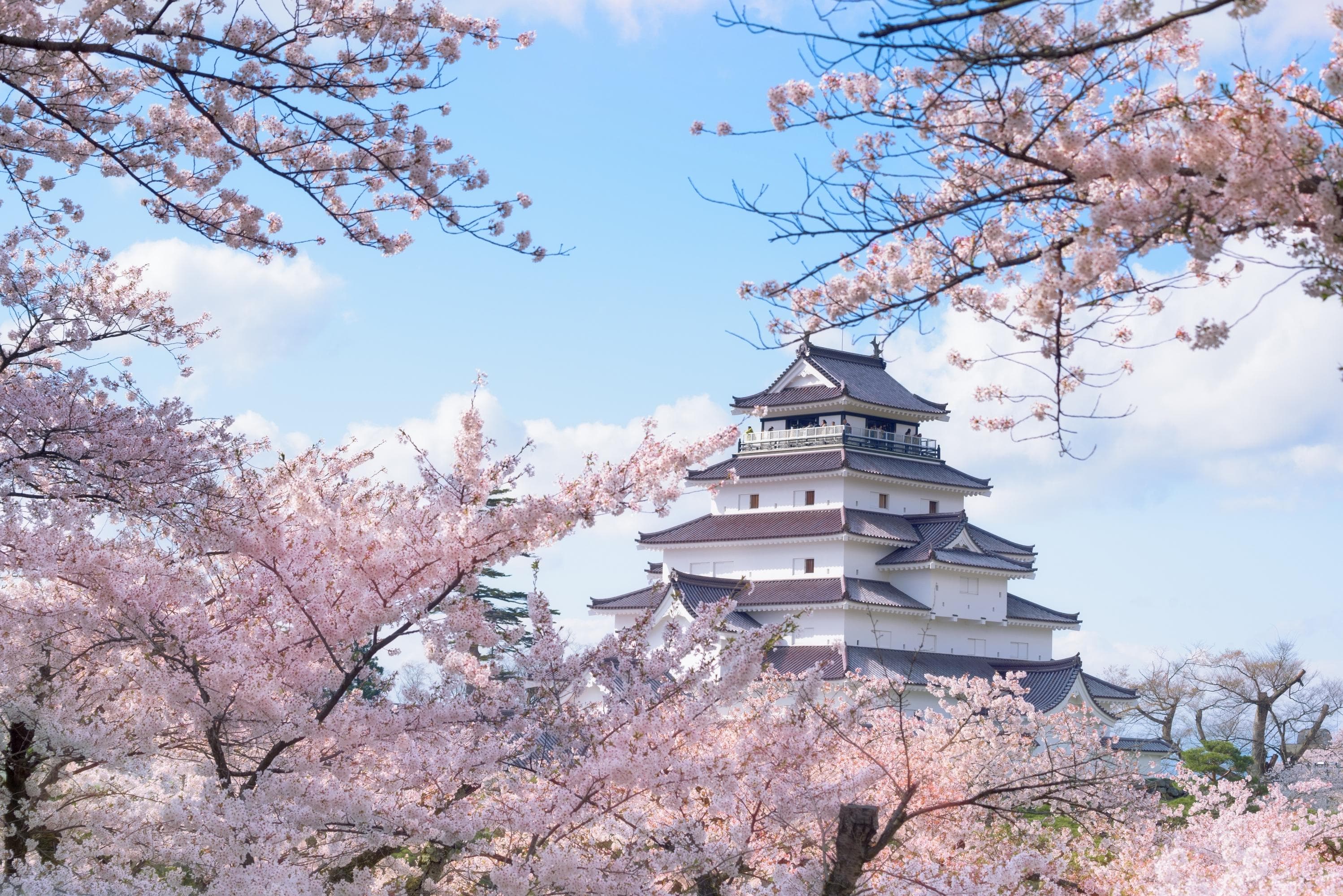 Tsurugajo Castle