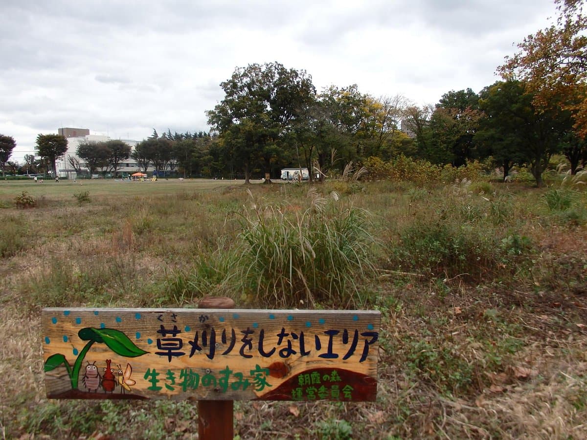 Asakanomori