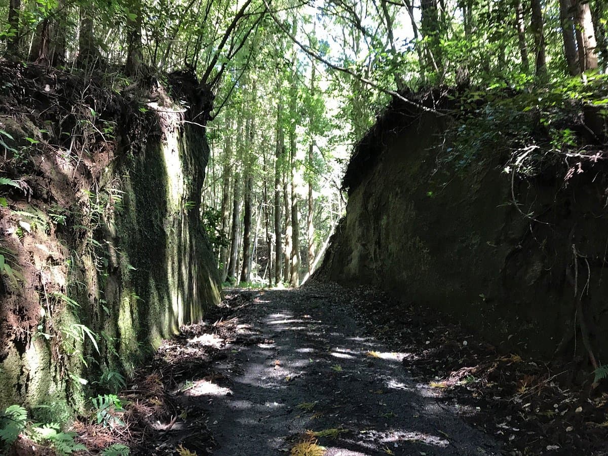 EIshoji Tunnel
