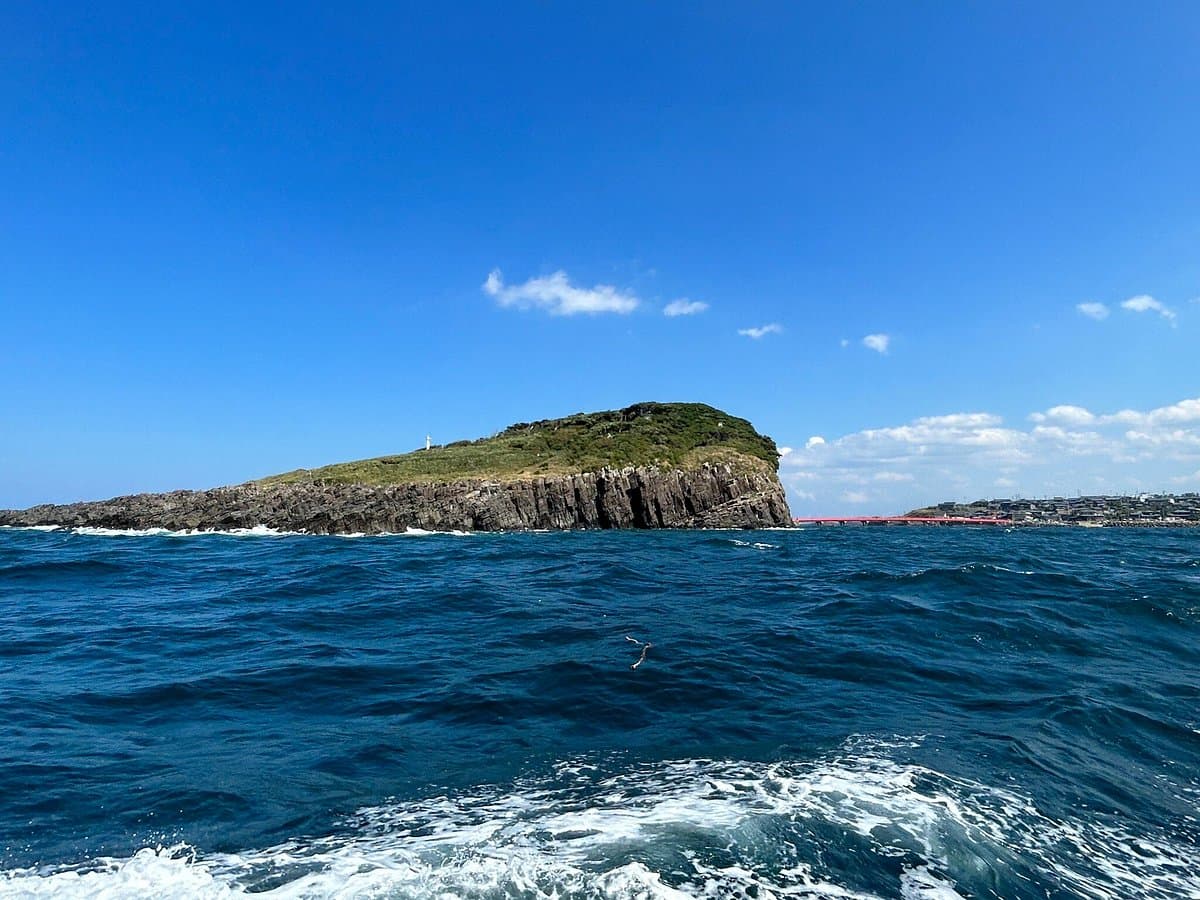 Oshima Island cover image