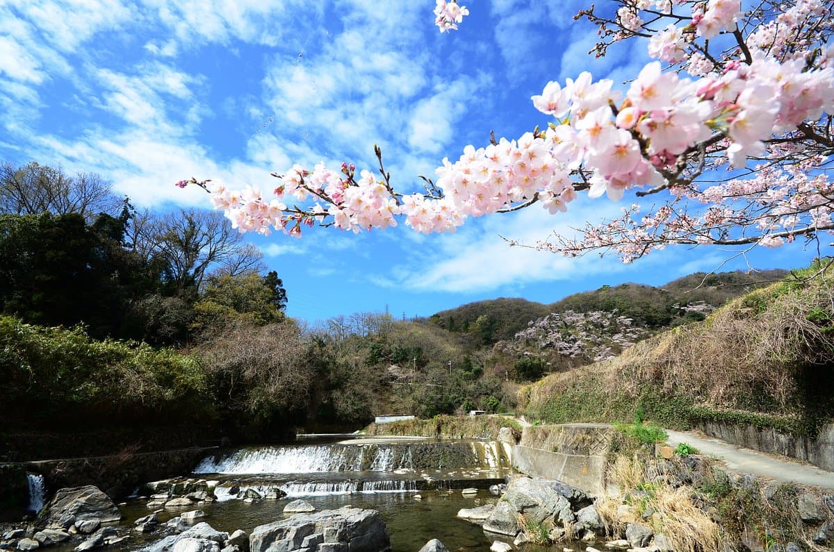 Settsukyo Park