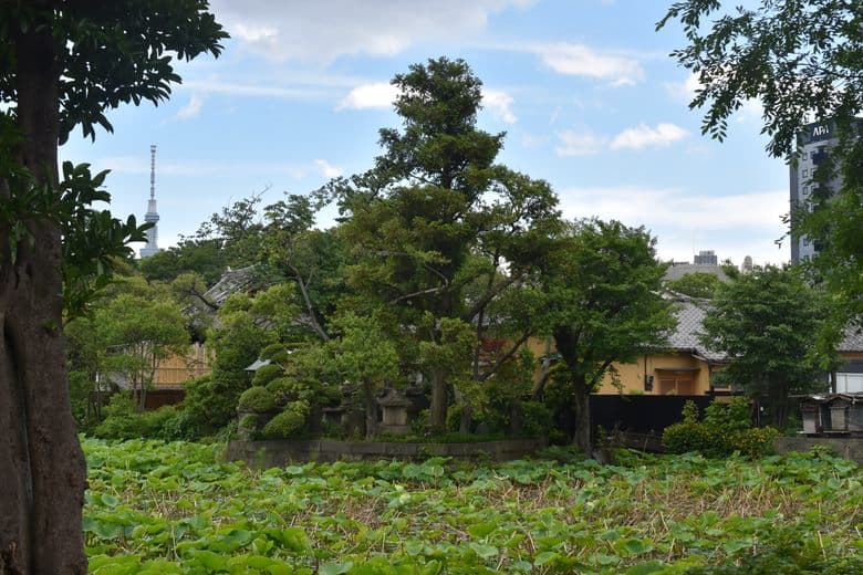 Shoden Island