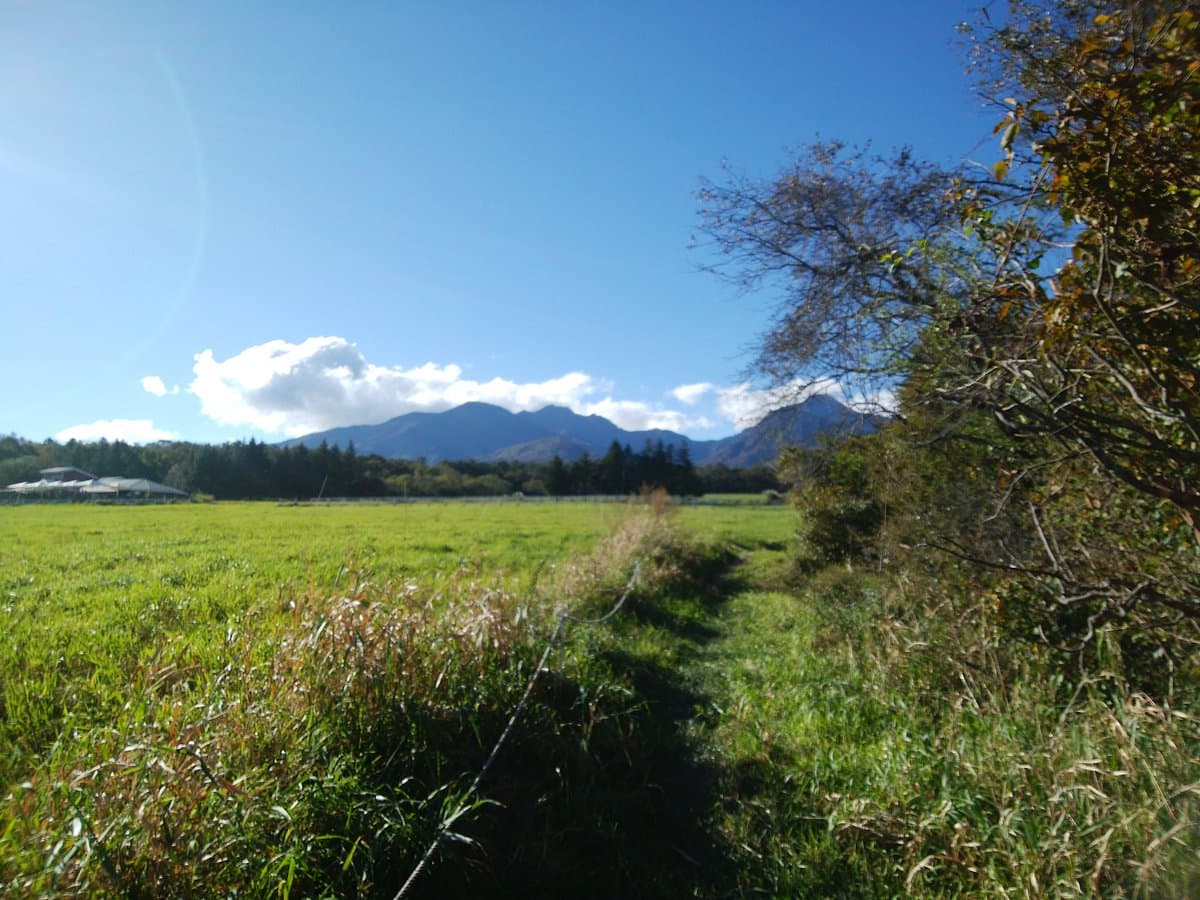 Yatsugatake Alpaca Farm