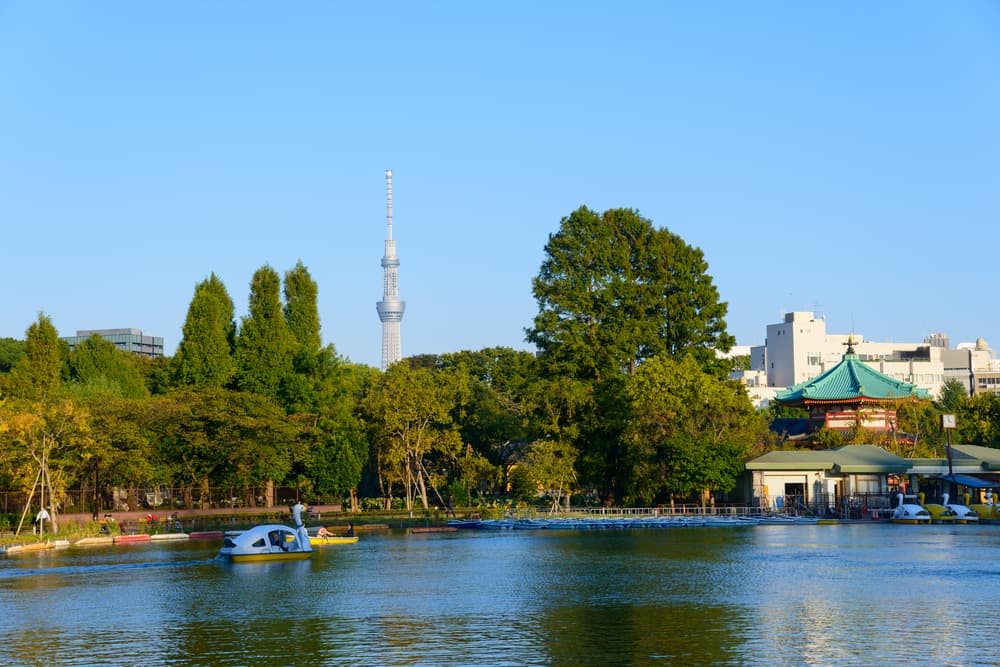 Shinobazu Pond
