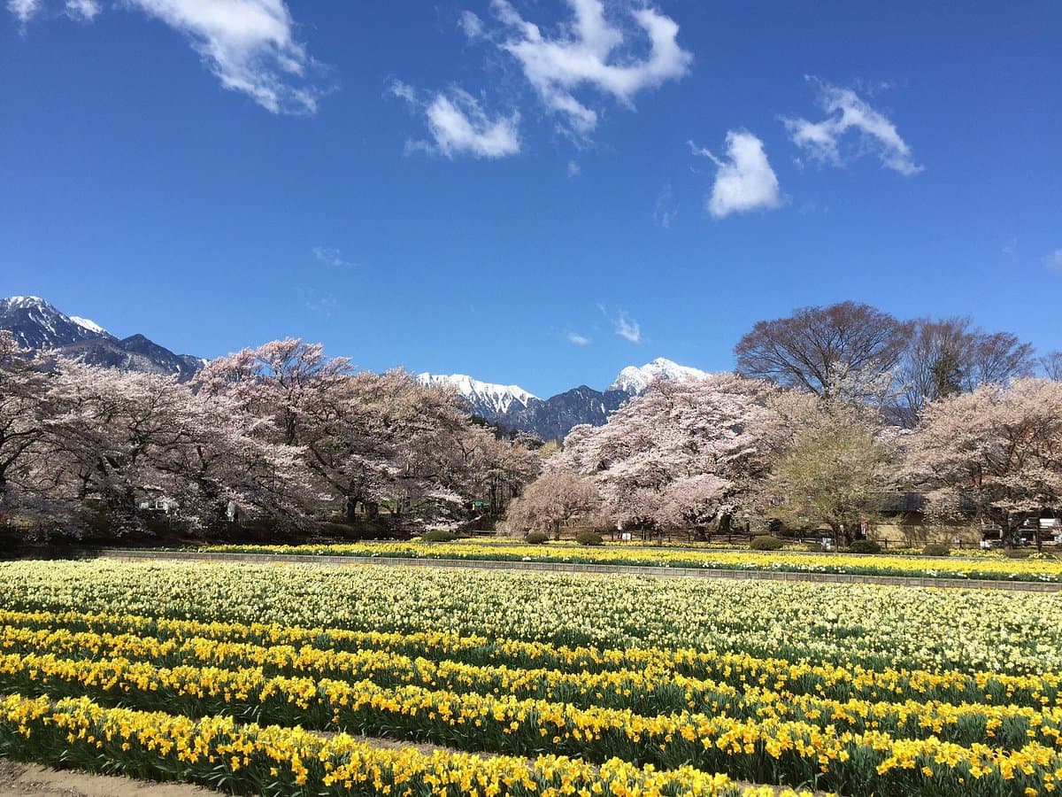Jisso-ji Temple cover image