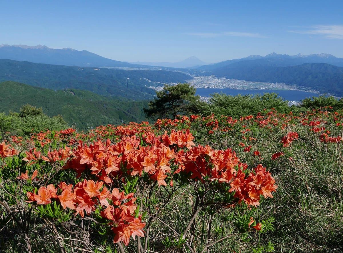 Takabotchi Highlands cover image