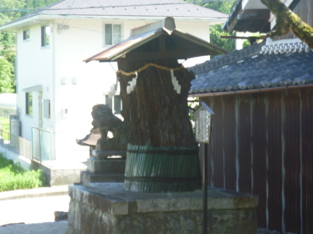 Eboshikakematsu