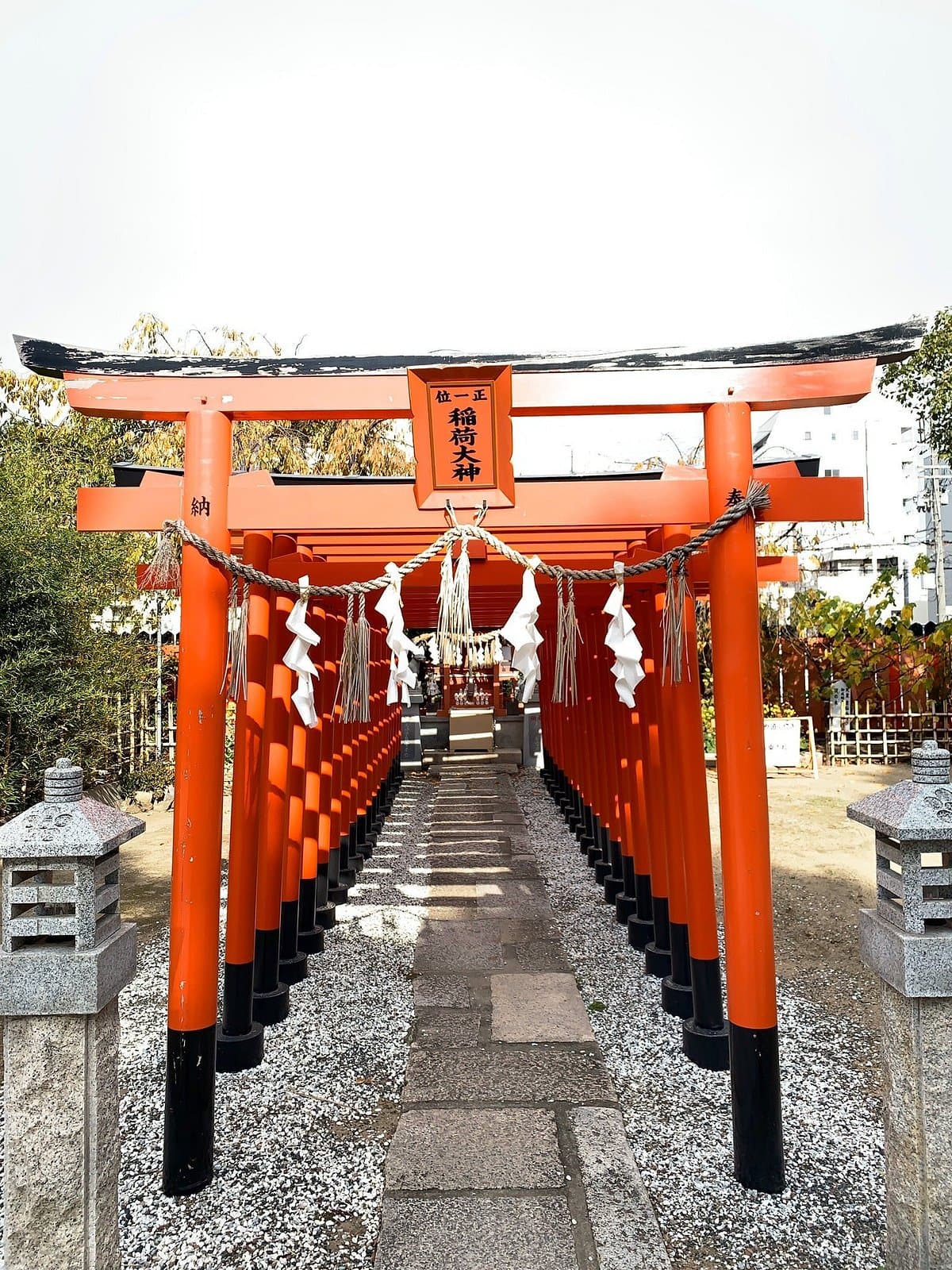 Aguchi Shrine cover image