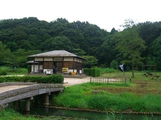 Forest and Park for the 21st Century