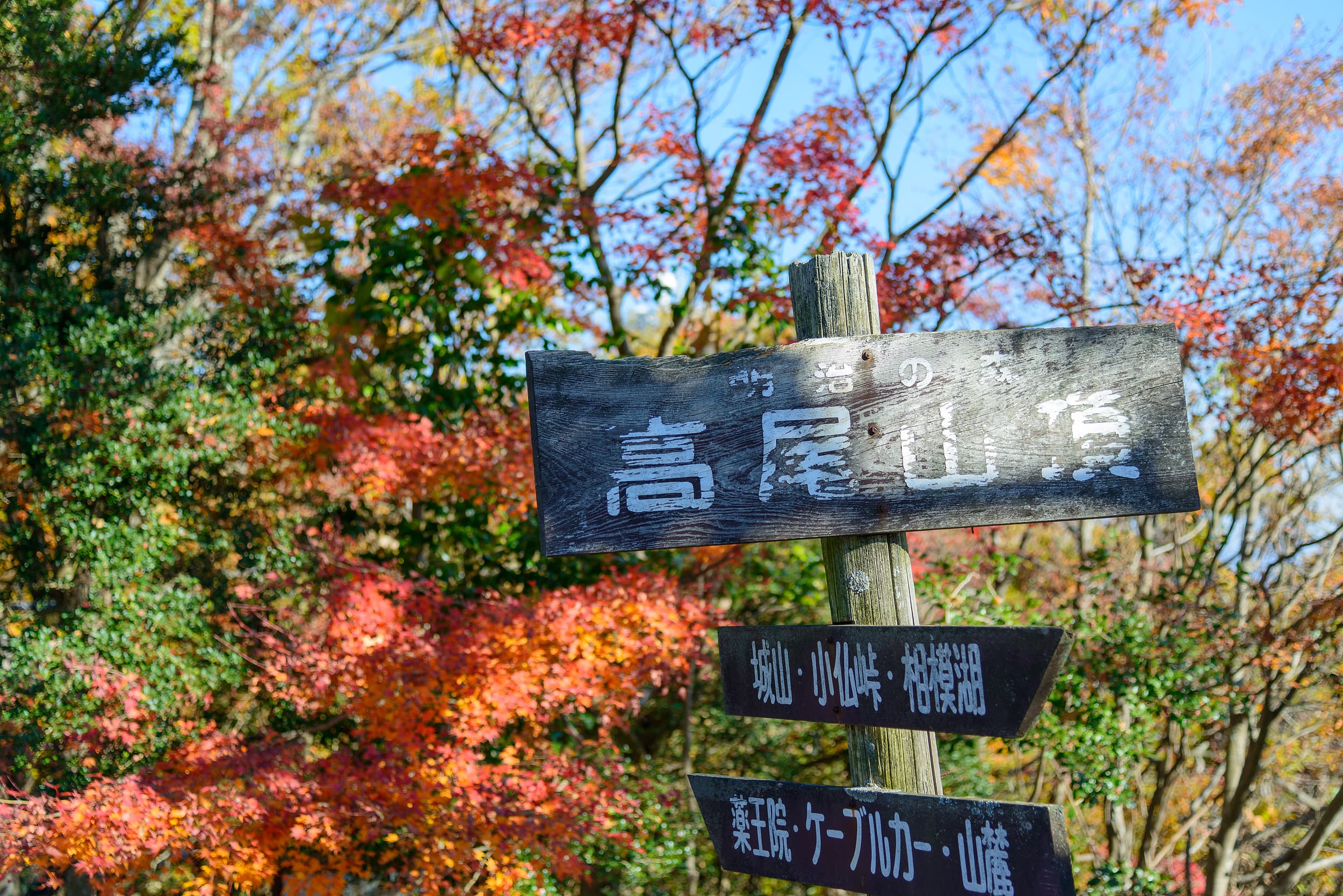 Mount Takao cover image