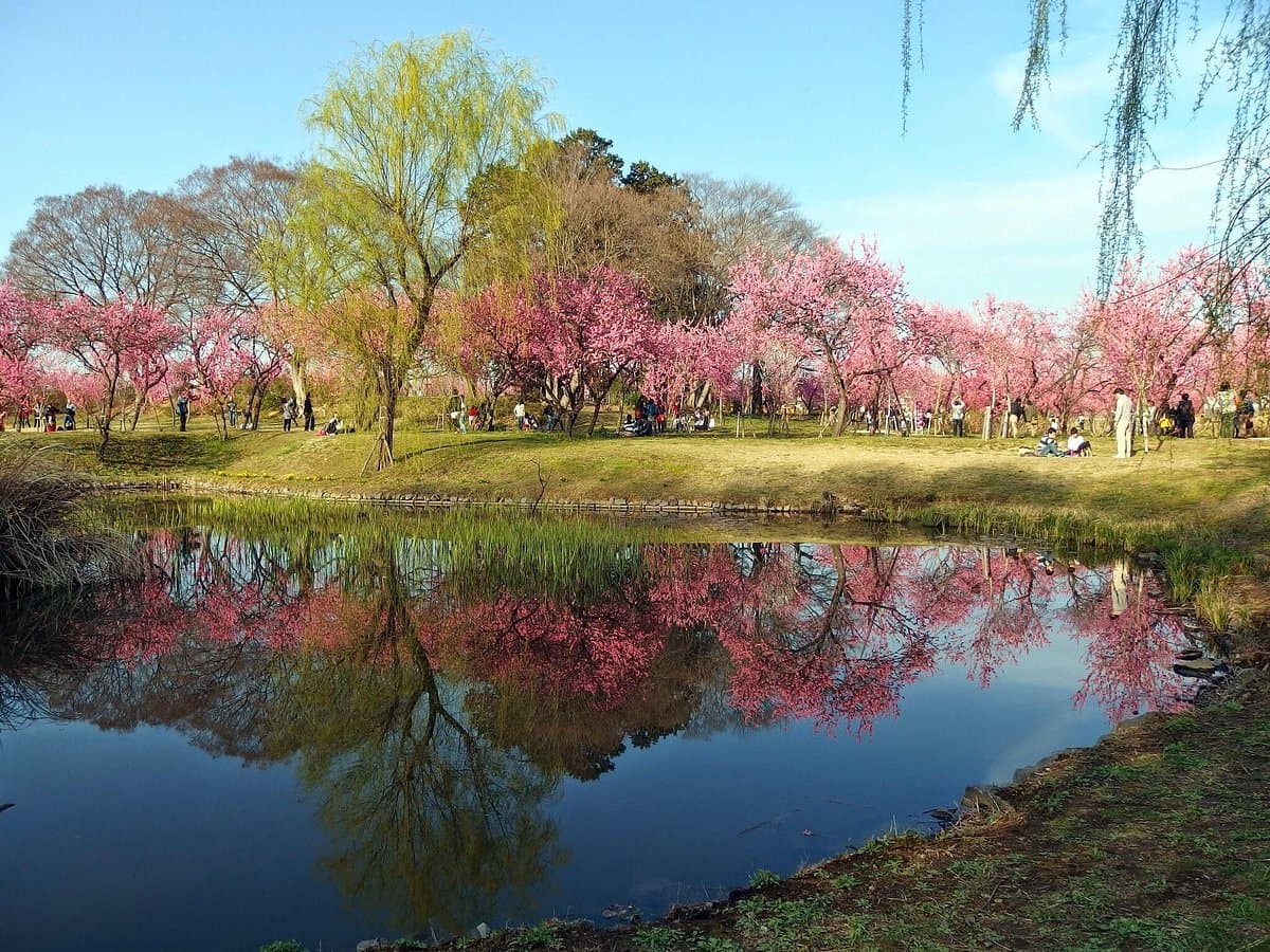Koga Kubo Park cover image