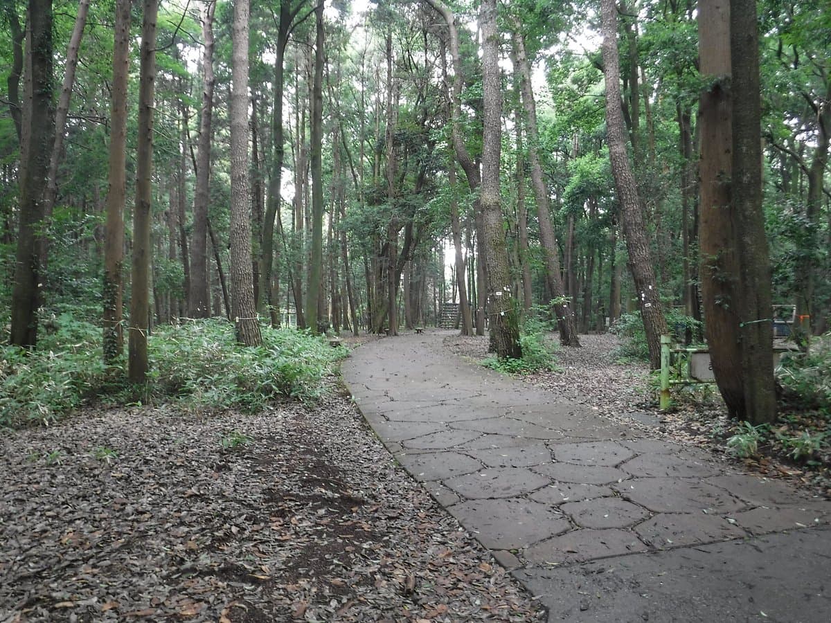 Teganooka Park
