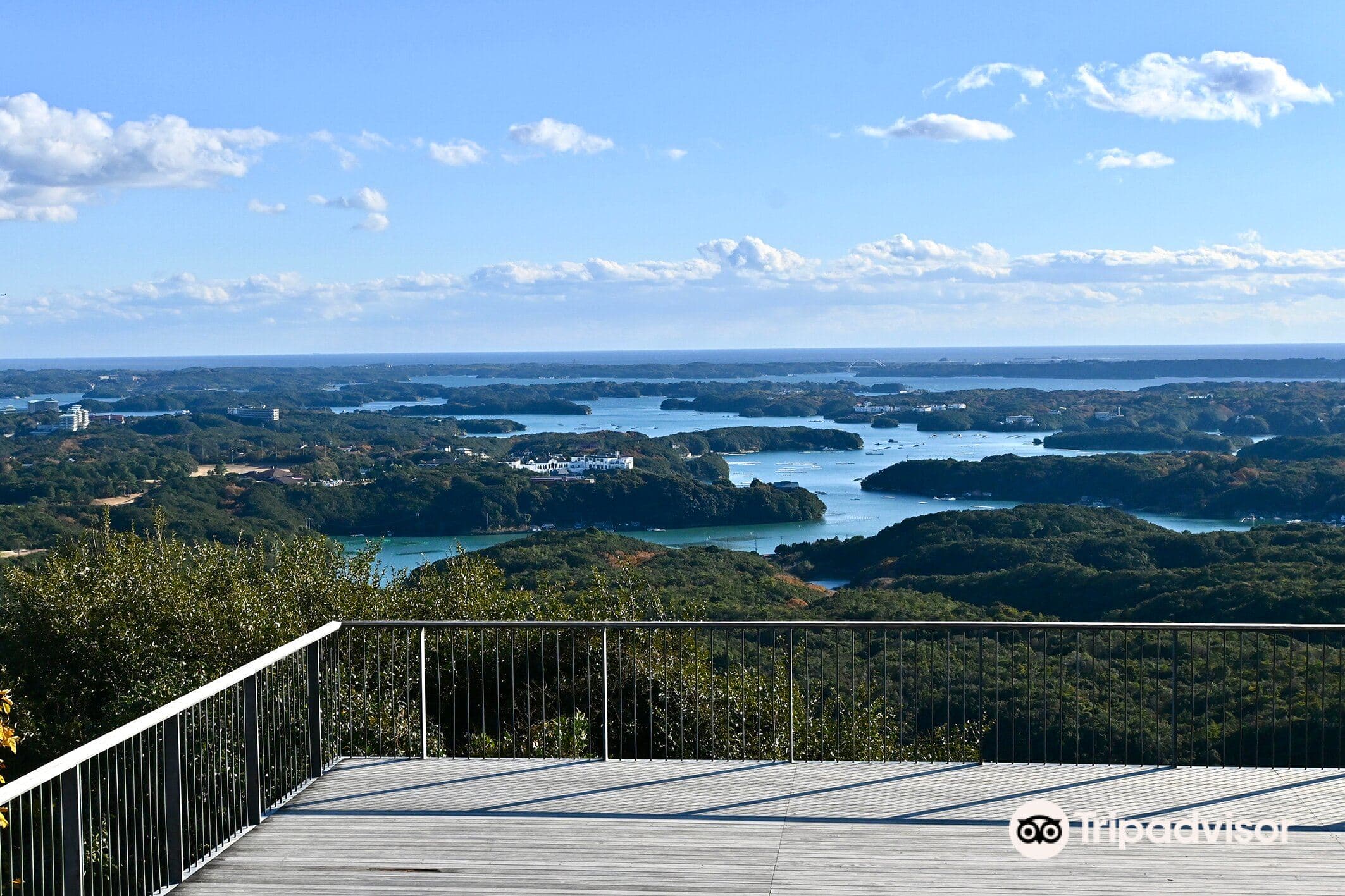 Yokoyama View Point
