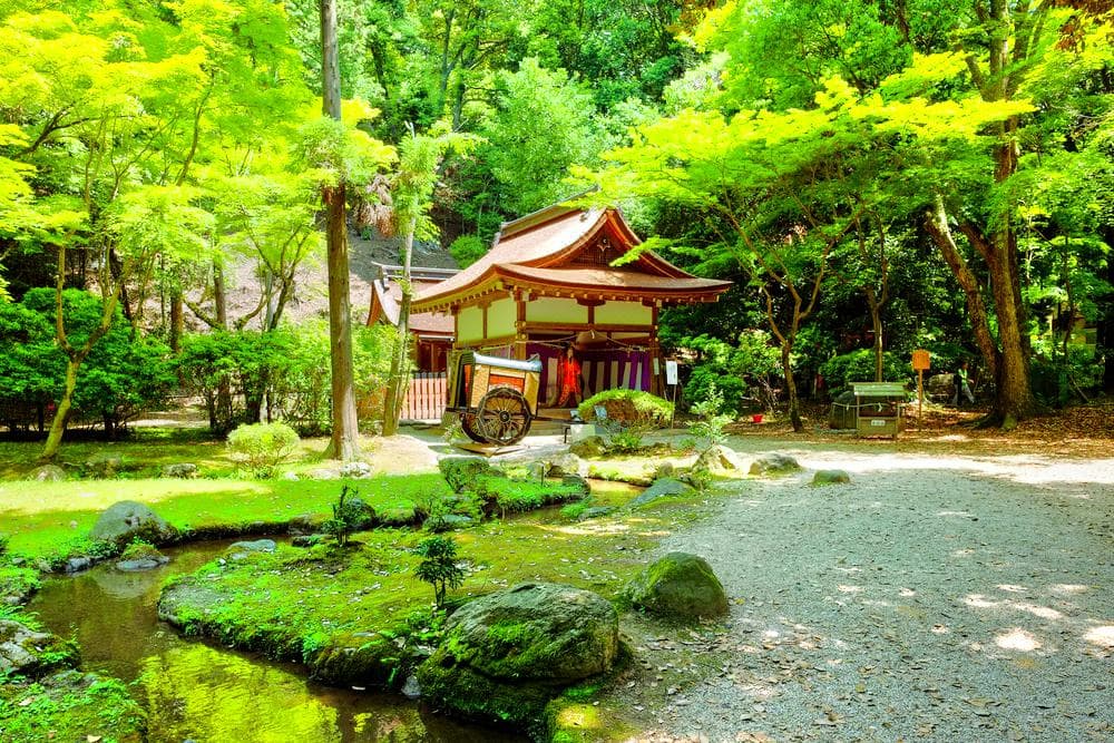 Kamo Wakeikazuchi Jinja Shrine (Kamigamo Jinja) cover image