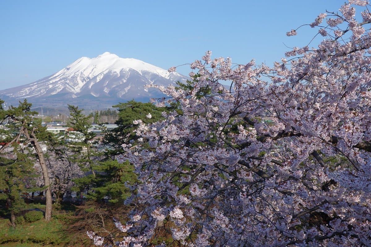 Mt. Iwaki
