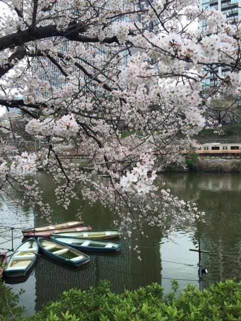 Kagurazaka cover image