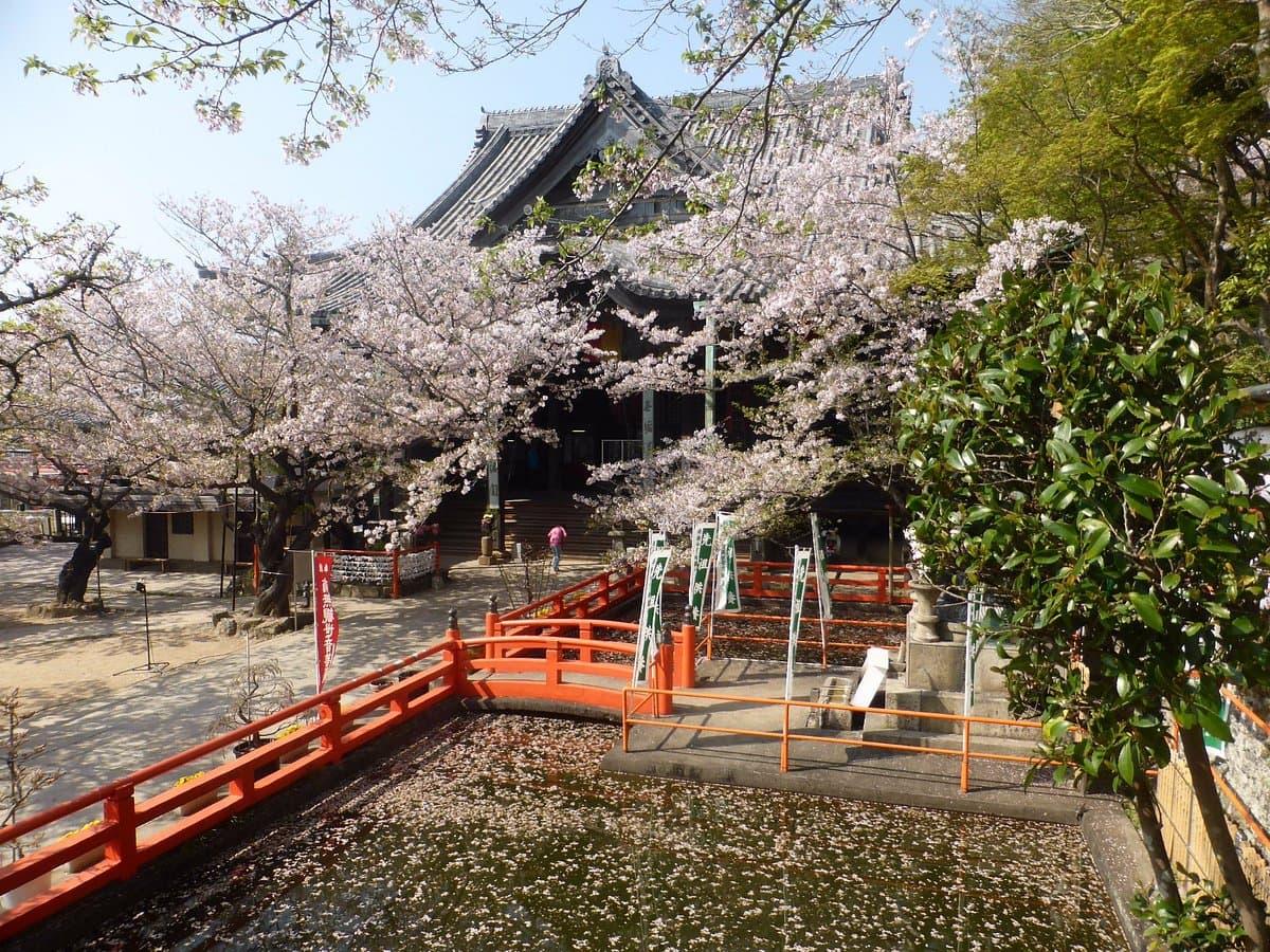 Kimiidera Temple cover image