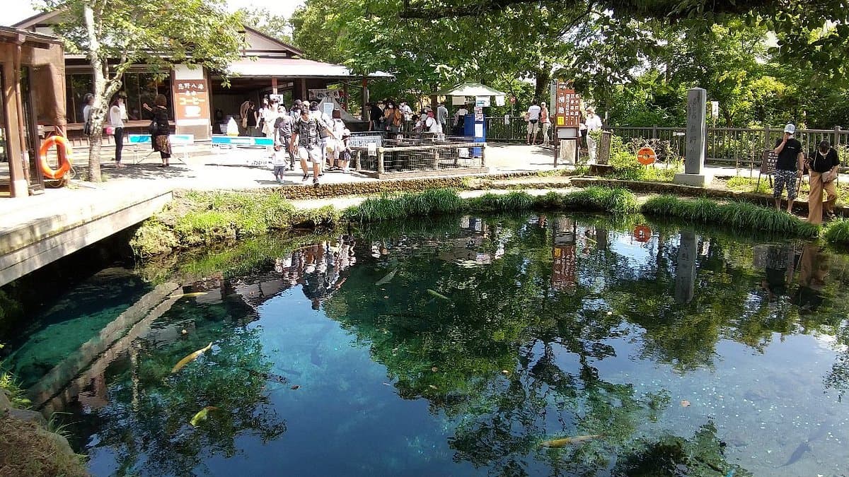 Waku Pond