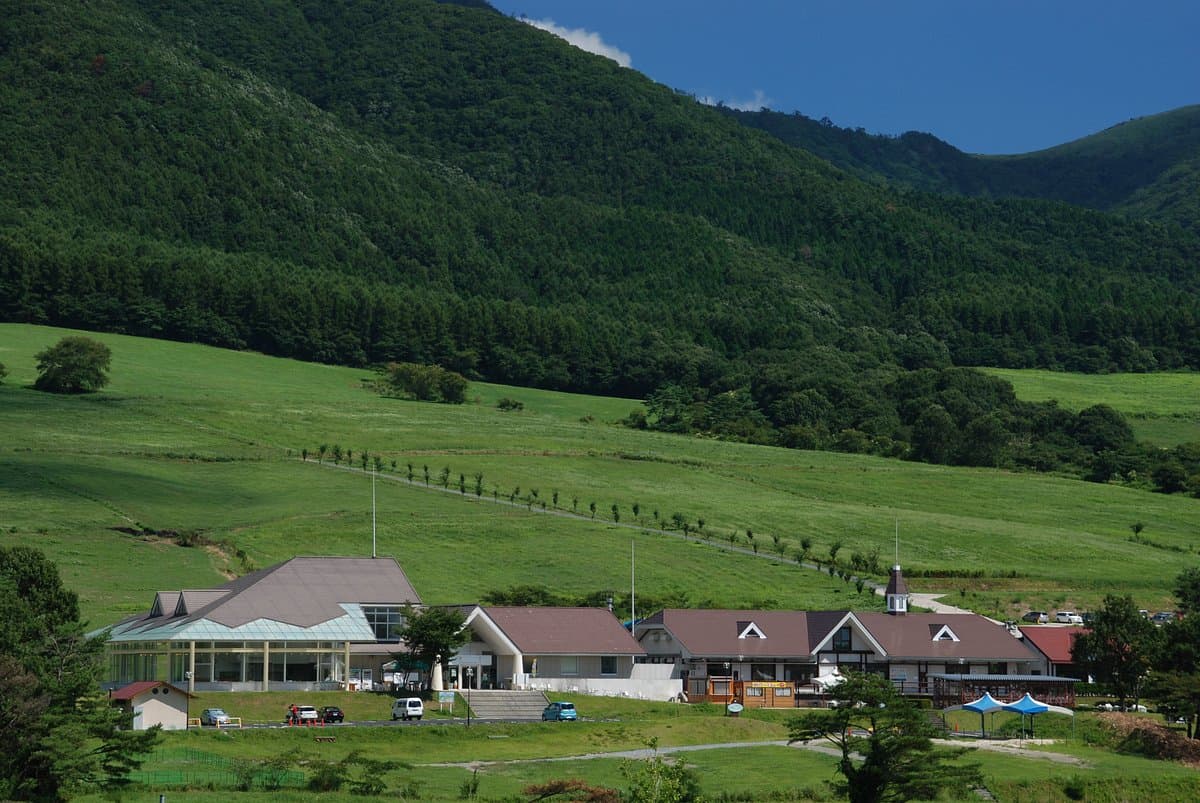 Hiruzen Jerseyland cover image