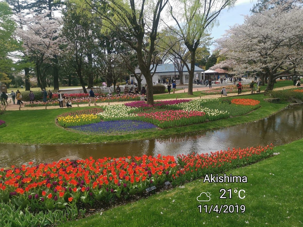 Showa Park cover image
