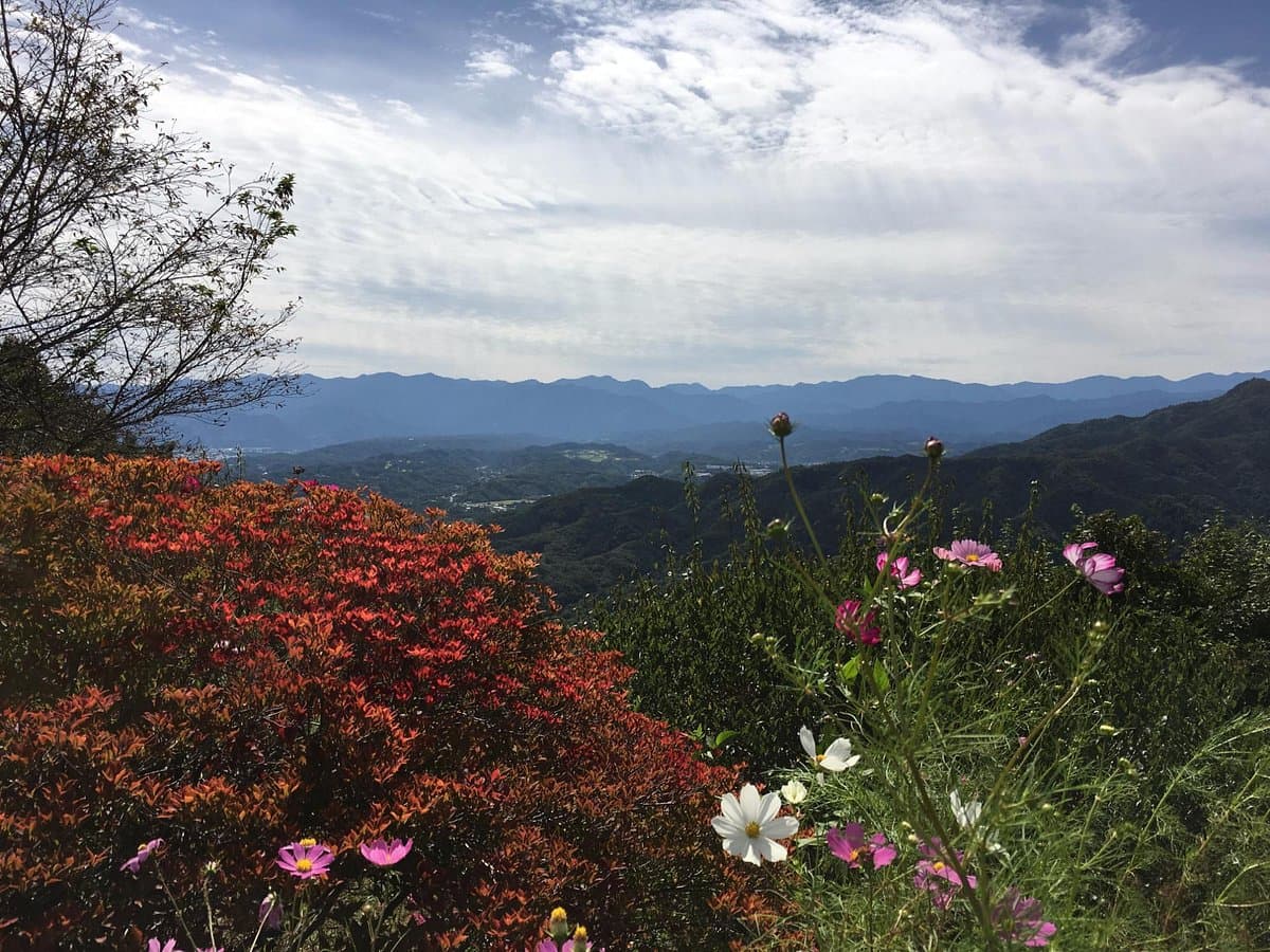 Mt. Hodosan cover image